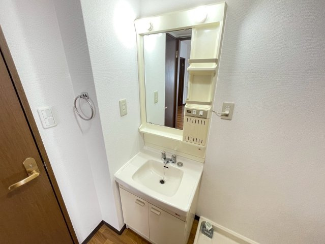 シュロス若江の洗面所