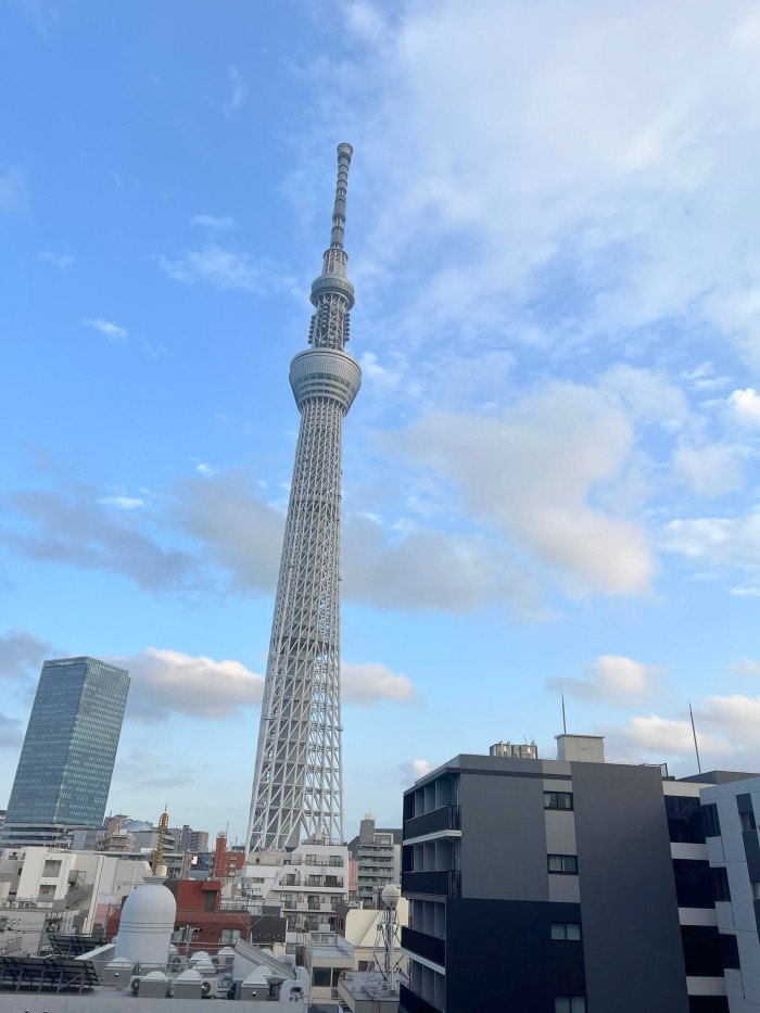 向島パークハイツ第2 　6階　リ　フォーム済　家具付の展望