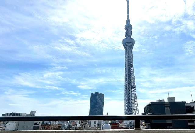 向島パークハイツ第2 　6階　リ　フォーム済　家具付の展望
