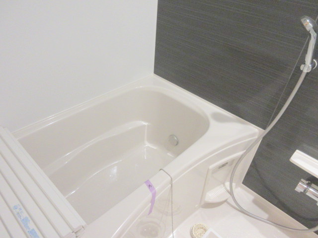 Secure House Southの浴室