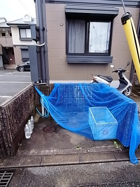 プリシェール上甲子園　B棟のその他共用部分