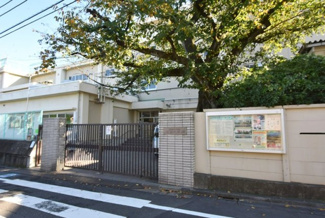 【周辺】 | 杉並区下井草3丁目　新築戸建　1号棟 9900万円 | 杉並区立東原中学校