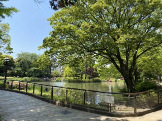 【周辺】 | 杉並区下井草3丁目　新築戸建　1号棟 9900万円 | 妙正寺公園