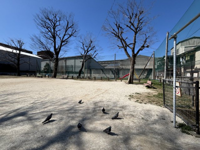 【周辺】 | 川口市宮町12-3売地