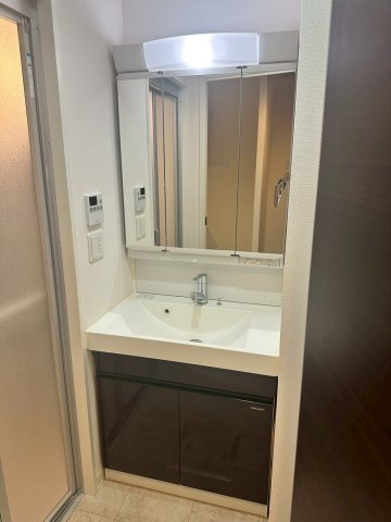 エトワール阿波座の洗面所