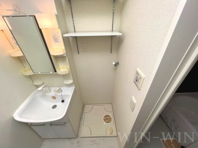 パティオ飯村の洗面所