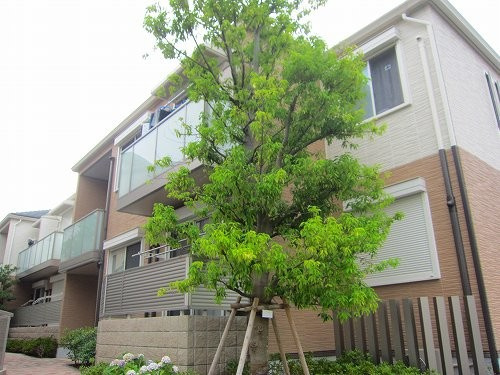 シャーメゾンクオレールの外観