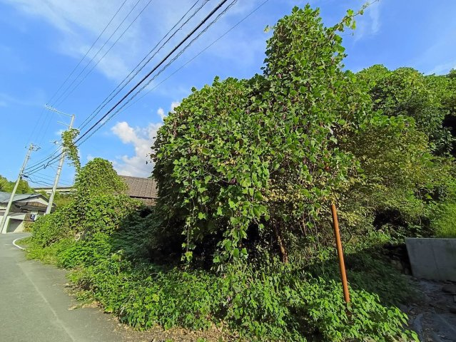 西条市津越7123他　売土地の外観