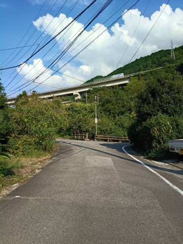 西条市津越7123他　売土地の前面道路含む現地写真