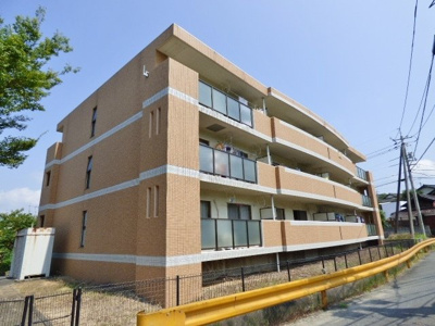 【外観】 | ニューリバティ藤田 | 淡い色合いの落ち着いた印象の外壁。