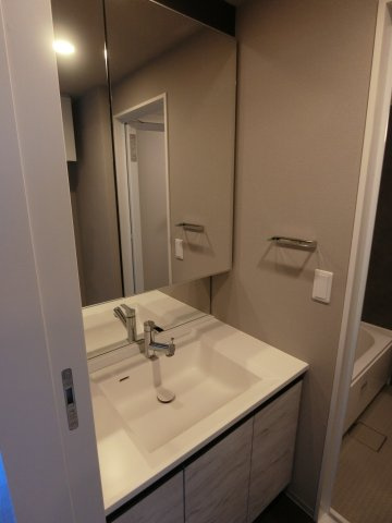 ブランシエスタ新丸子リバーフロントの洗面所|他のお部屋の参考写真となります。
