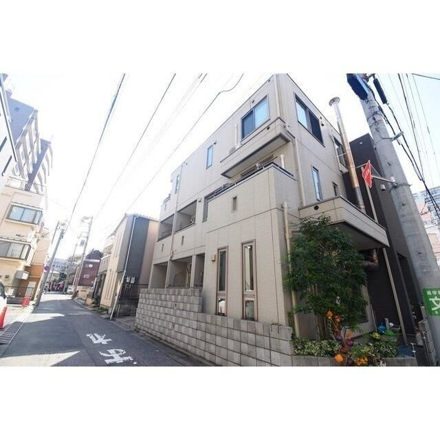 プリマヴェーラ梅の木