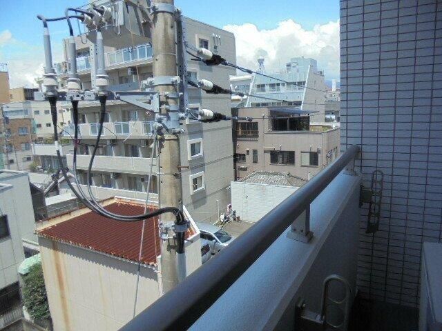 ミュウミュウの展望