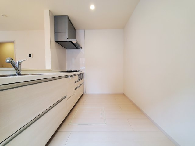 八潮市　鶴ケ曽根　　中古戸建のキッチン|使いやすいキッチンです