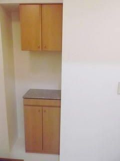 グレースコート白鷺坂の玄関