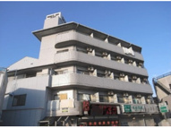 ノアーズアーク・観月橋の画像