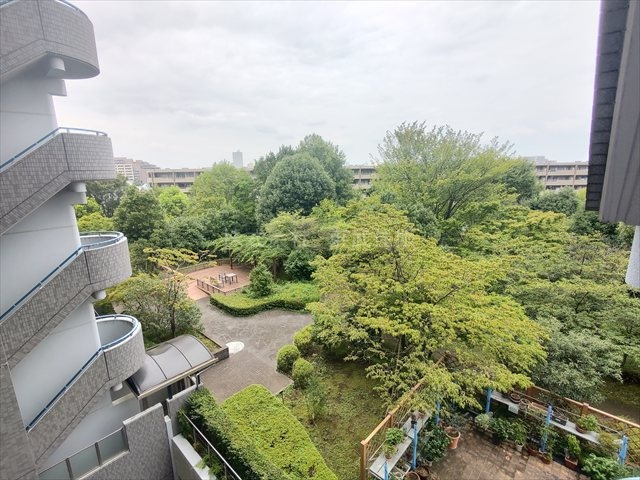 【展望】の画像