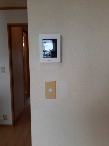 ブリアンのセキュリティ