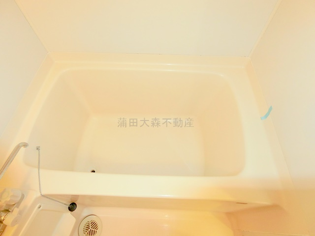 サンフラワー池上の浴室
