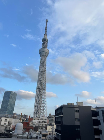向島パークハイツ第2の展望