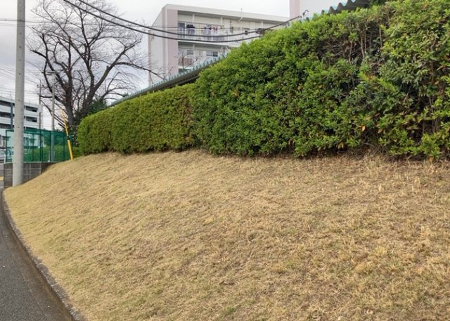 【庭】 | 木曽住宅ト | 物件によっては、入居者が個人的に使用できる専用庭がついているものもあります。また、住宅の中にある土間の部分を庭と呼ぶこともあります。庭の用途は住む人によって変わり、それによってデザインもさまざまです。