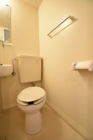 メゾン・ド・トレイユのトイレ