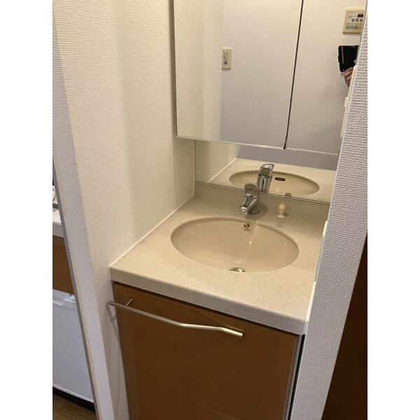 エステムコート難波ミューステージの独立洗面台