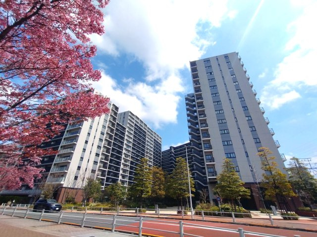 CITY TERRACE KANAMACHI