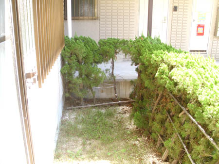 モアクレスト花田公園B棟の庭|お庭です