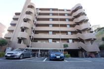 ファーロの画像