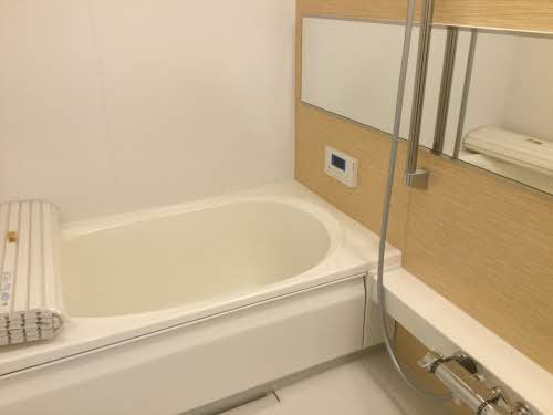 メゾンみくりな白石の浴室