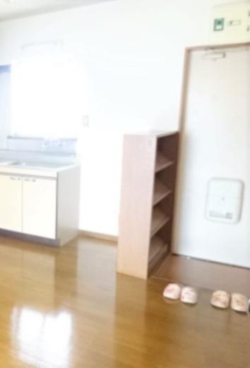 アネックスAの玄関|※別部屋写真