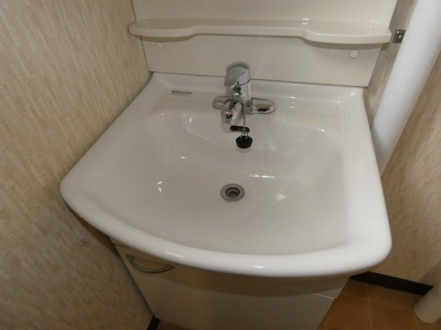 パーソナルハイツⅡの洗面所