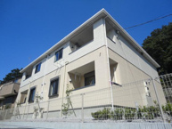 プリムローズの画像