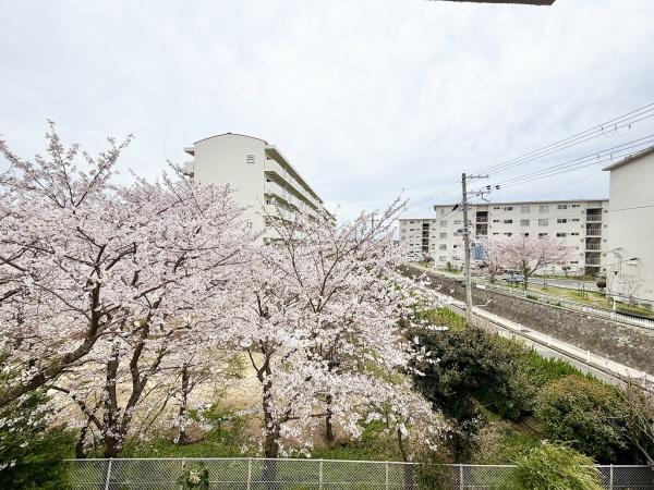 【その他】 | 神陵台厚生年金住宅5号棟