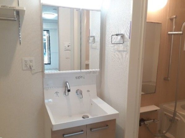 ｉｚｕｍｉ１（イズミ１）の洗面所