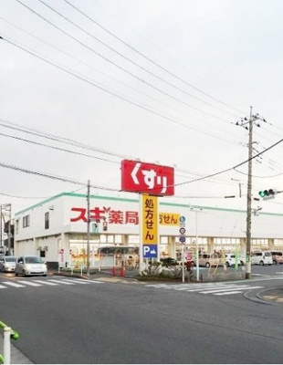 【周辺】 | ＫＯＵテラス・タツイ | スギ薬局まで550m