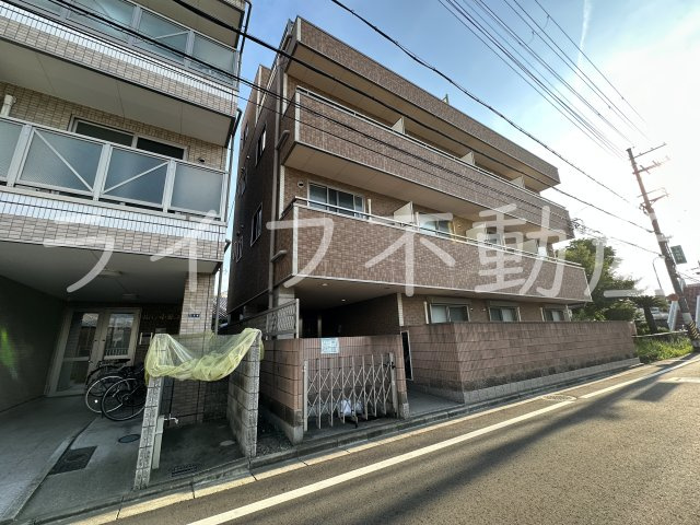 セレブ小若江