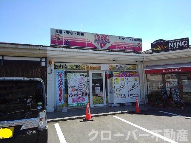 ヌーベル・シャトウ　Ｃの周辺|ヤングドライ郡家店まで1000m