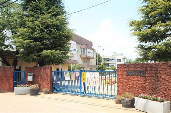 ポポラーレ壱番館の周辺|小学校「川口市立並木小学校まで356ｍ」