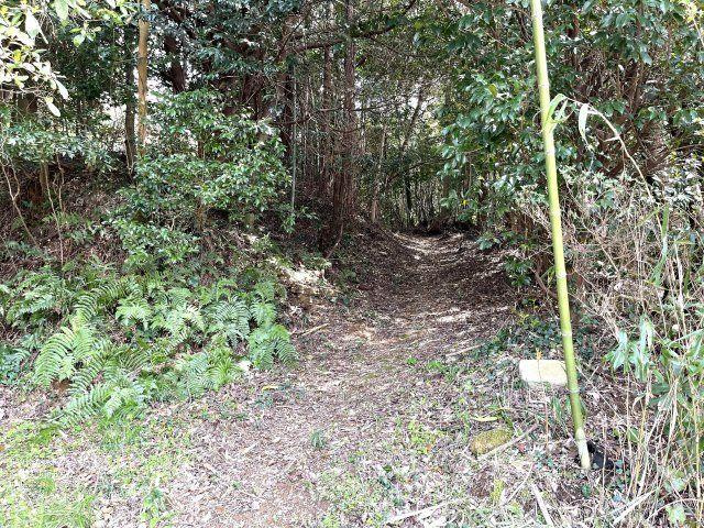 【その他】 | 農地山林付き　万倉小学校に通える平屋中古住宅　宇部市大字東須恵 | 山林です