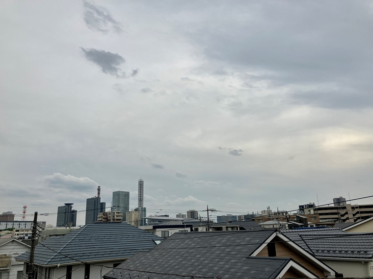 天沼町戸建の展望