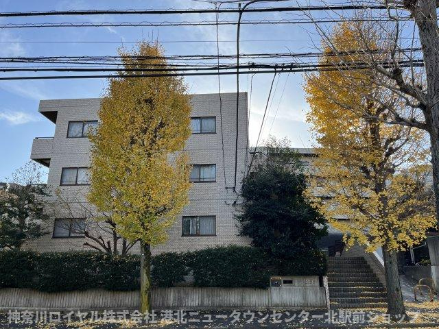 【その他】