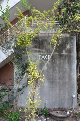 【その他】 | FACEビル