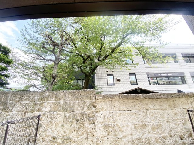 Palstage滝野川の展望|眺望です☆