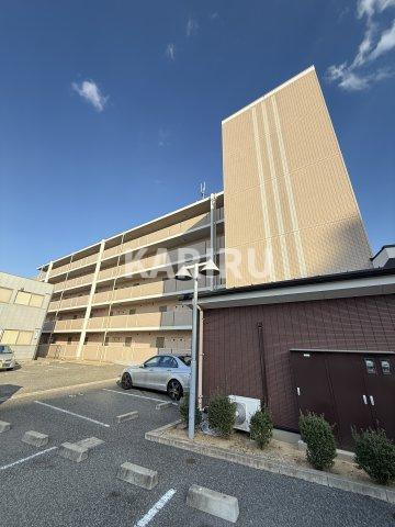 グレイスパルコート