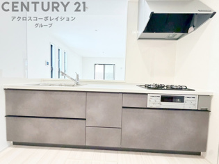 シンプルなデザインと使いやすさを兼ね備えた対面式システムキッチンは、効率的な作業スペースを提供し、家族やゲストとのコミュニケーションを促進します。