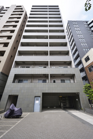 SYNEX HON-KOMAGOME