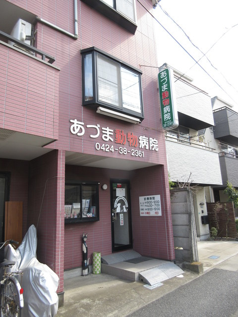 Ｍａｉｓｏｎ　ｄｅ　Ｓａｋｕｒａｓのその他|あずま動物病院