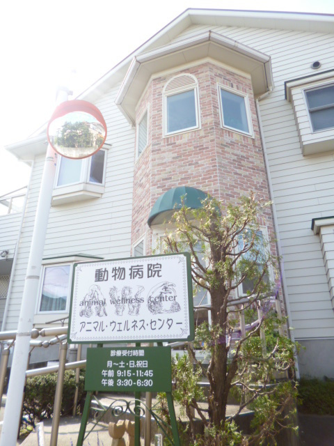 Ｍａｉｓｏｎ　ｄｅ　Ｓａｋｕｒａｓのその他|アニマルウェルネスセンター